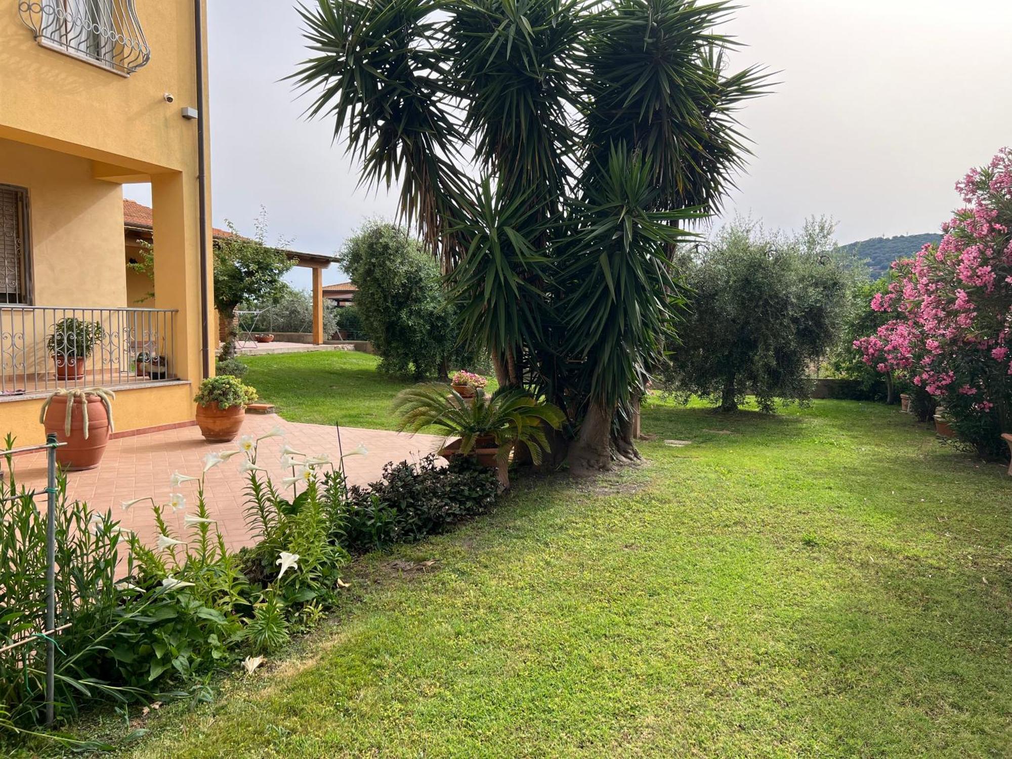 Agriturismo Il Giardino Degli Olivi Appartamenti Кастильоне дела Пеская Екстериор снимка