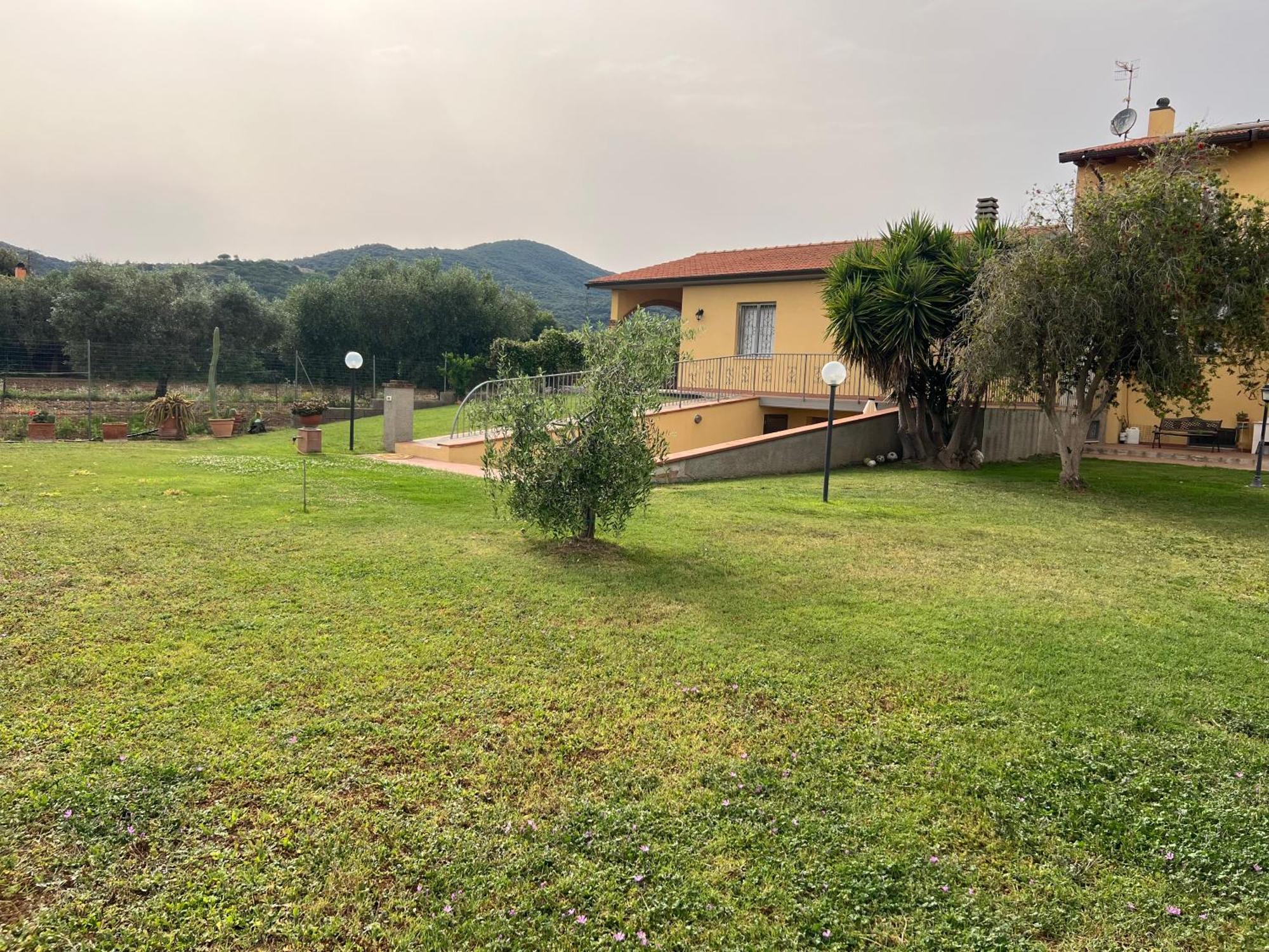 Agriturismo Il Giardino Degli Olivi Appartamenti Кастильоне дела Пеская Екстериор снимка